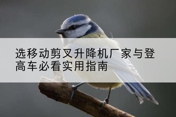 建邺电动升降机厂家-选移动剪叉升降机厂家与登高车必看实用指南