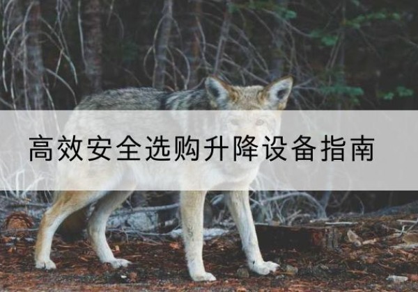 建邺升降货梯厂家推荐-*安全选购升降设备指南