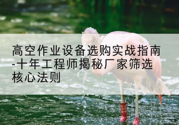 建邺剪叉式升降机厂家-高空作业设备选购实战指南-十年工程师揭秘厂家筛选核心法则